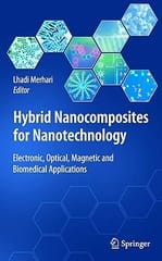 Hybrid Nanocomposites For Nanotechnology 2009 By Merhari L.