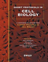 Short Protocols In Cell Biology 2004 By Bonifacino