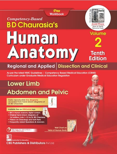 BD Chaurasia Human Anatomy Volume 2, 10th Edition 2024