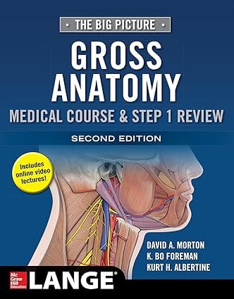 The Big Picture Gross Anatomy Medical Course And Step 1 Review 2nd Edition 2019 By Morton D A