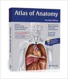 Atlas Of Anatomy 2008 By Beer R