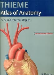 Atlas Of Anatomy Neck And Internal Organs 2007 By Thieme