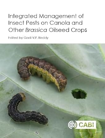 Integrated Management Of Insect Pests On Canola And Other Brassica Oilseed Crops 2017 By Reddy G V P